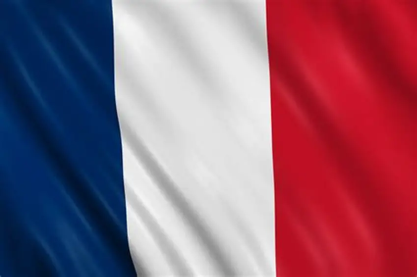 FRANCE Flag